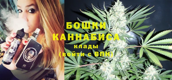 винт Инсар