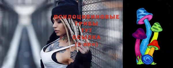 мет Инта