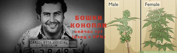 винт Инсар