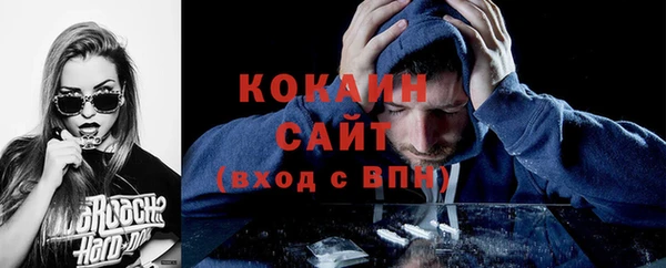 винт Инсар
