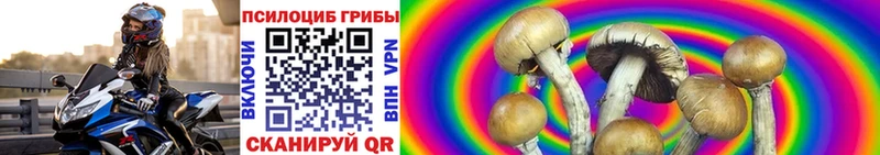 Галлюциногенные грибы мицелий цена наркотик Кинешма