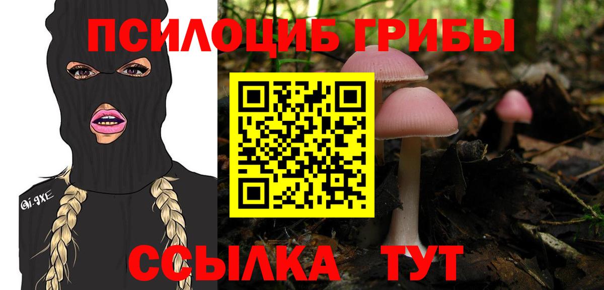 Кинешма  Псилоцибиновые грибы мицелий  Вход с VPN  Галлюциногенные грибы мицелий 
