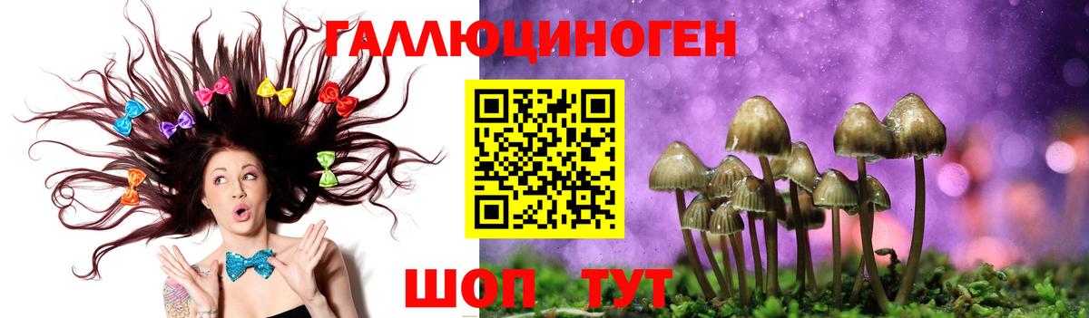 Псилоцибиновые грибы прущие грибы Кинешма